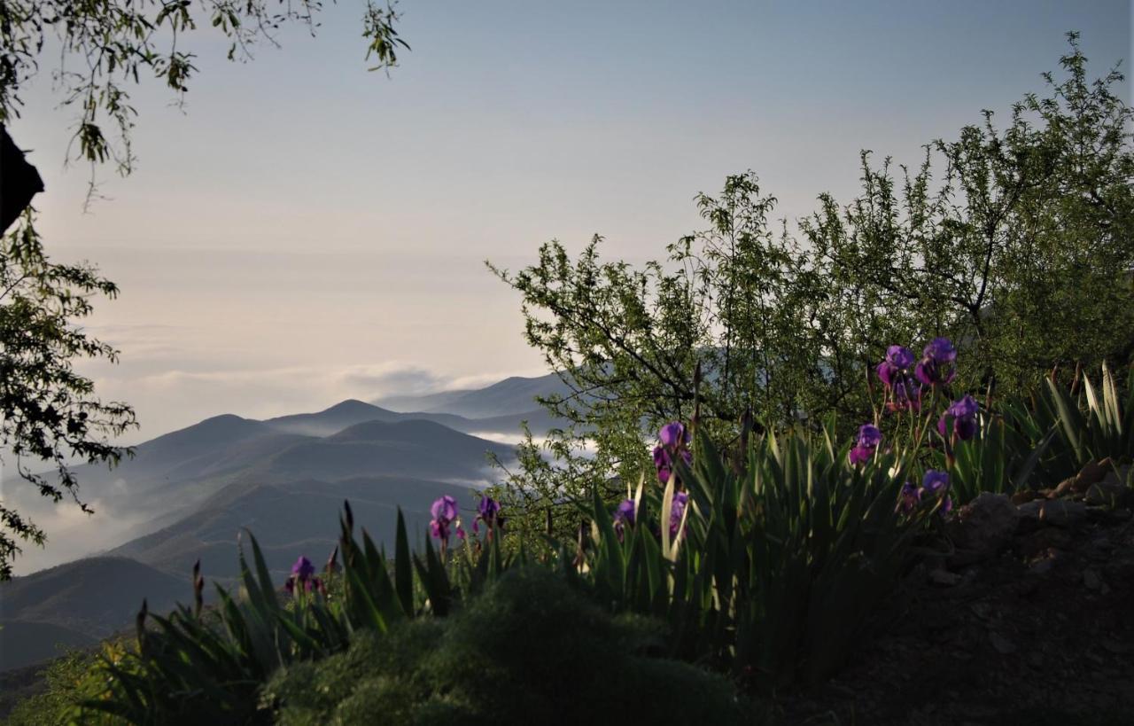Cortijo Los Maximos Turon ภายนอก รูปภาพ