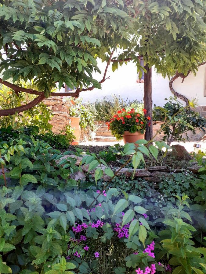 Cortijo Los Maximos Turon ภายนอก รูปภาพ