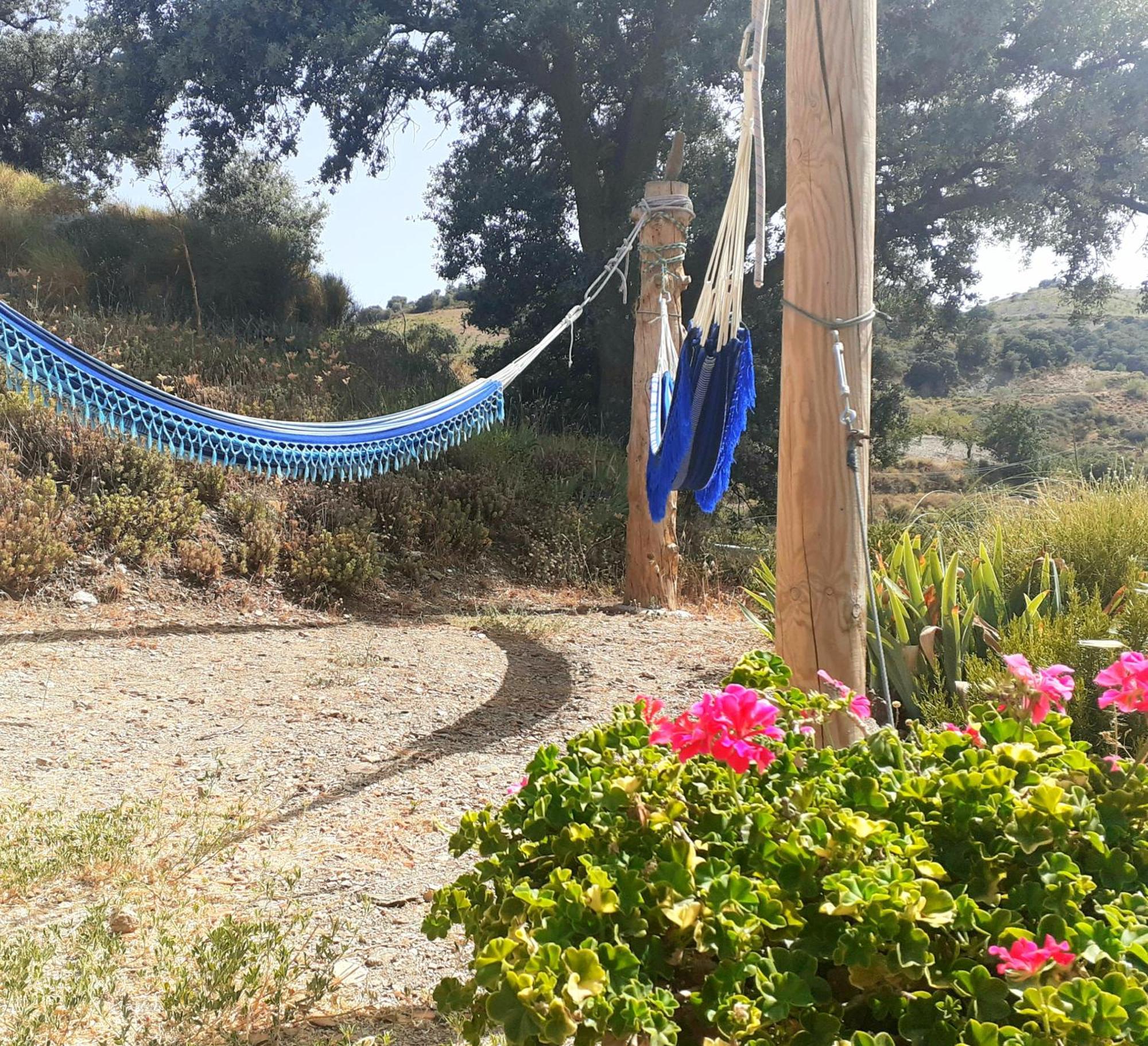 Cortijo Los Maximos Turon ภายนอก รูปภาพ