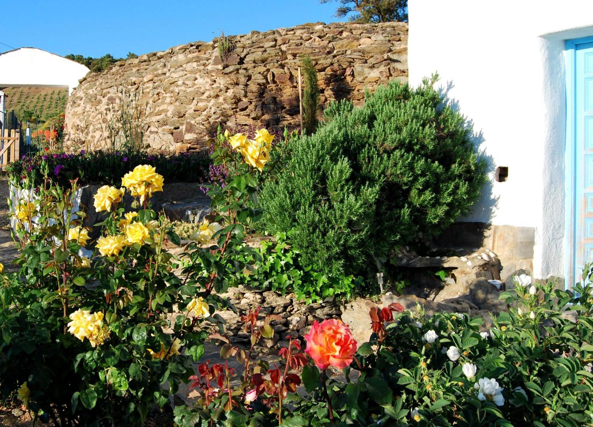 Cortijo Los Maximos Turon ภายนอก รูปภาพ