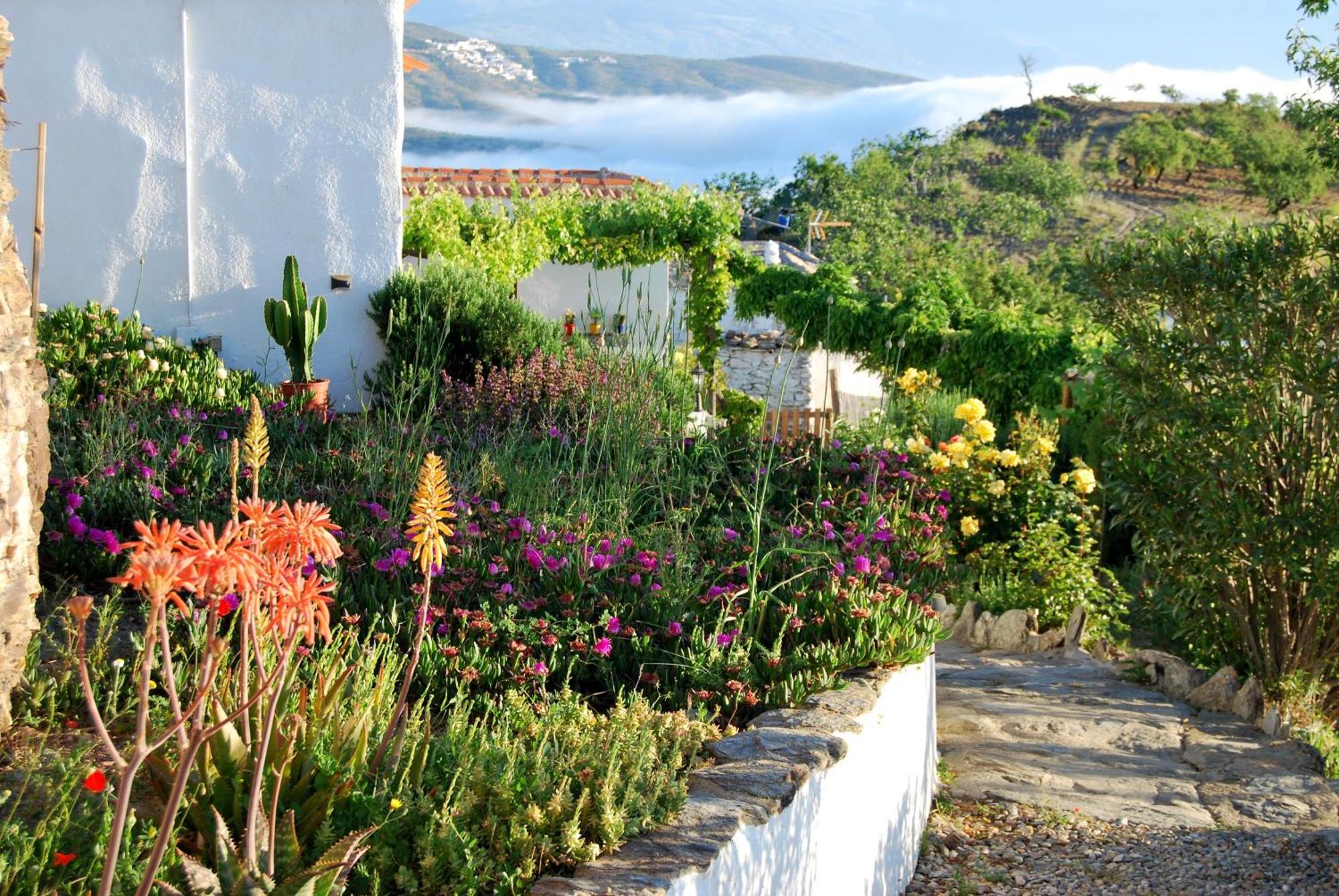 Cortijo Los Maximos Turon ภายนอก รูปภาพ