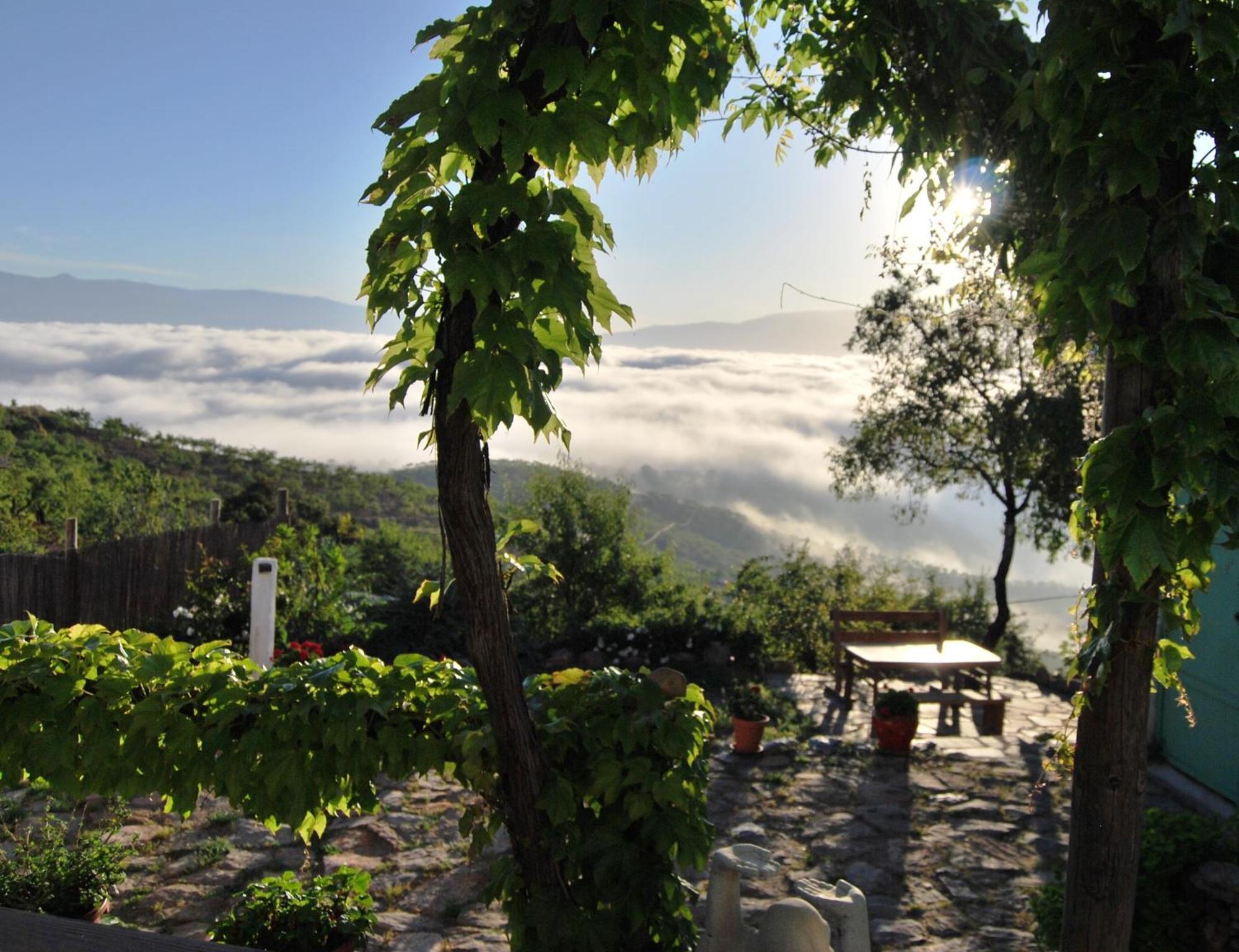 Cortijo Los Maximos Turon ภายนอก รูปภาพ