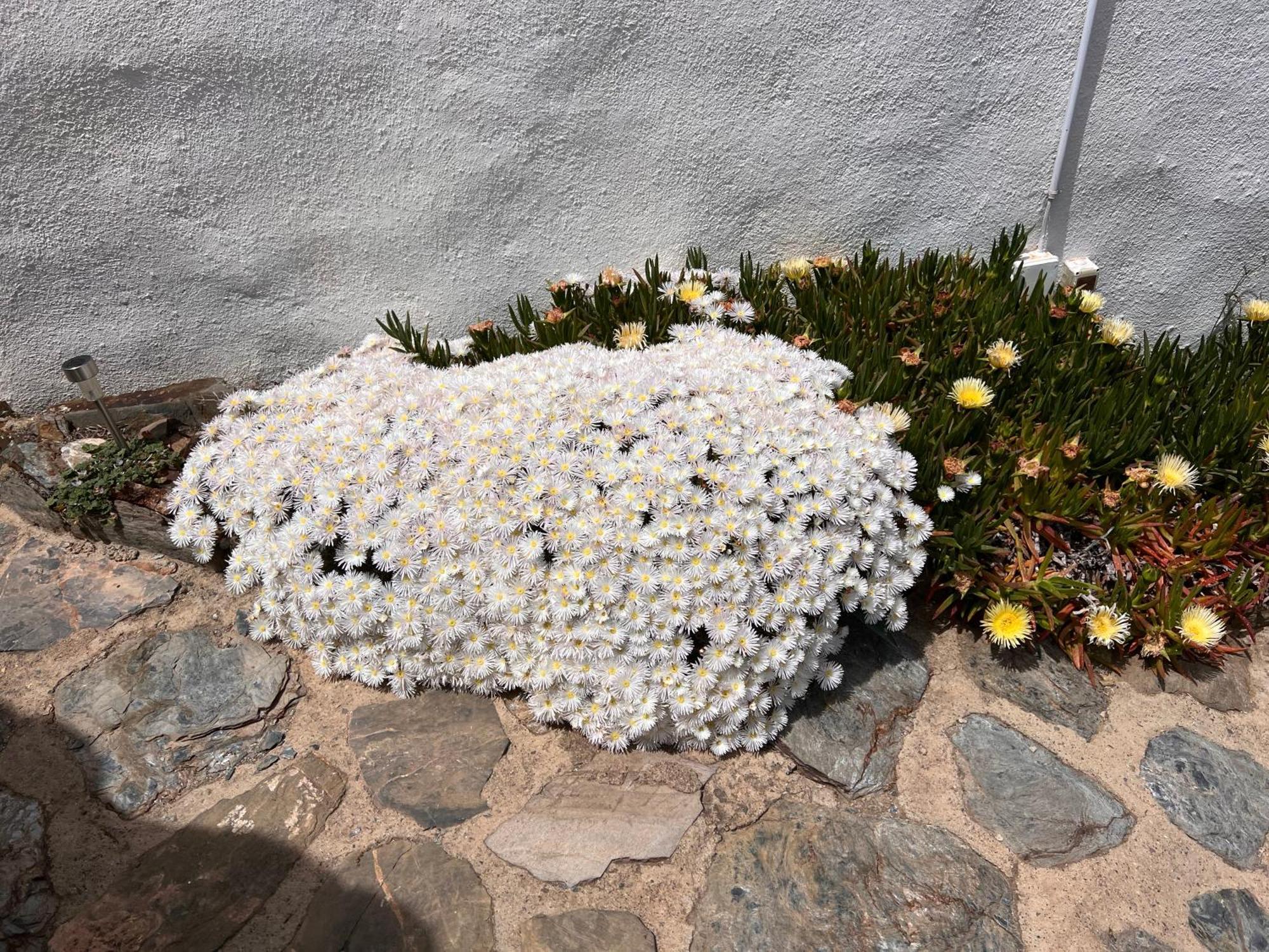 Cortijo Los Maximos Turon ภายนอก รูปภาพ
