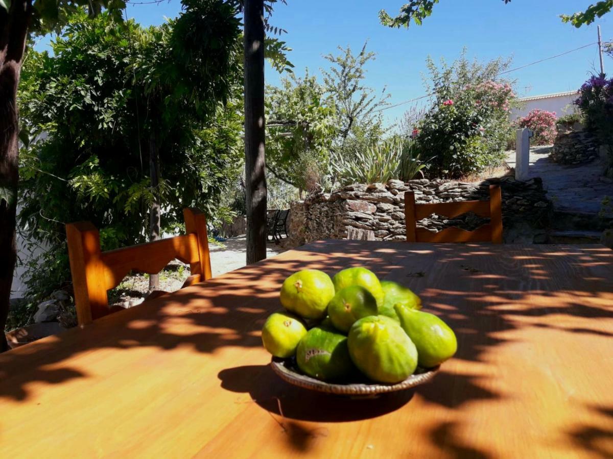 Cortijo Los Maximos Turon ภายนอก รูปภาพ