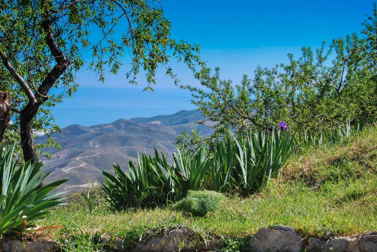 Cortijo Los Maximos Turon ภายนอก รูปภาพ