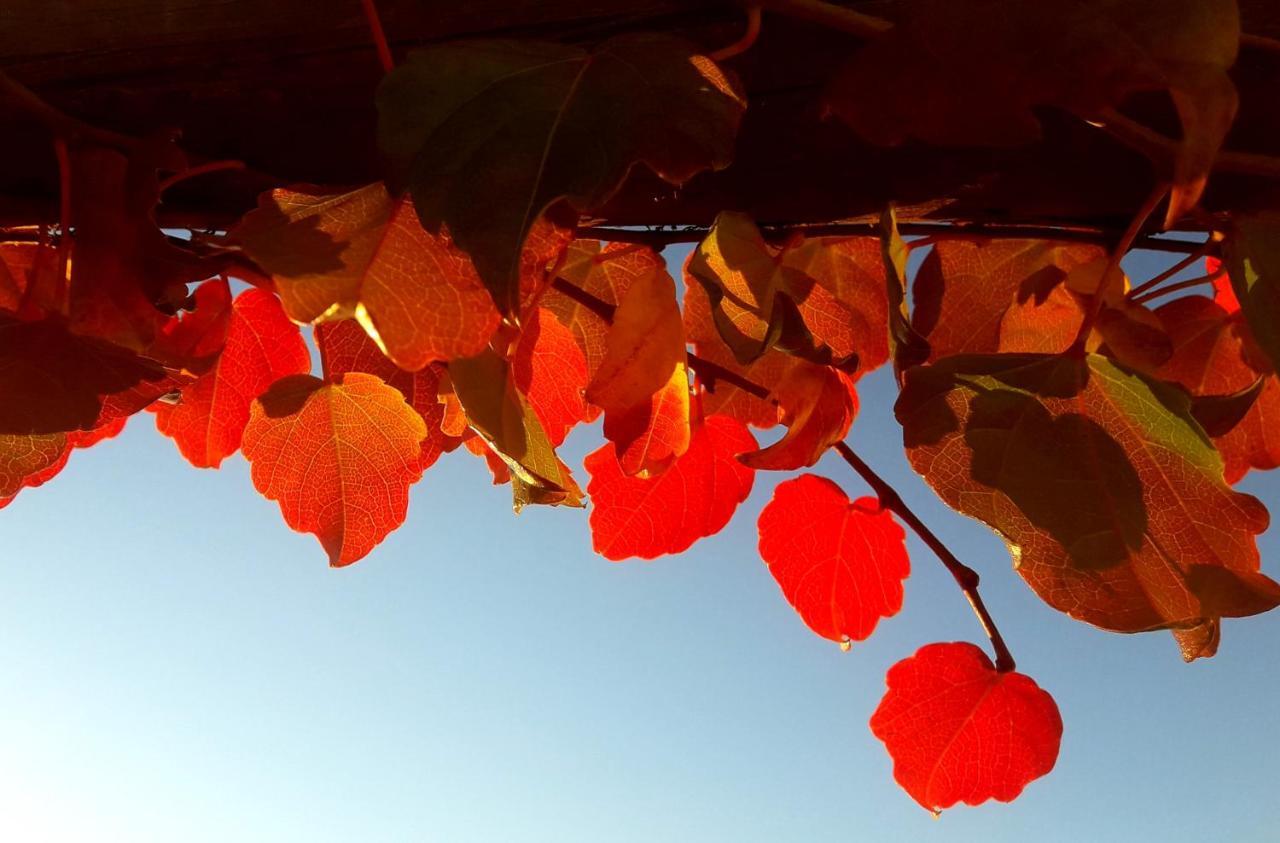 Cortijo Los Maximos Turon ภายนอก รูปภาพ